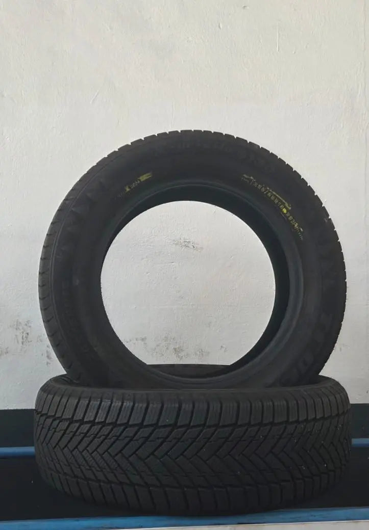 4 pneumatici TRACMAX X-privilo S130 205/60 R16 96H